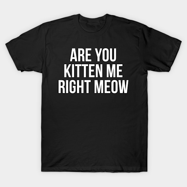 Are You Kitten Me Right Meow T-Shirt by TIHONA